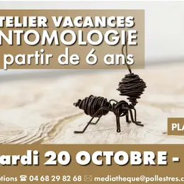 Atelier Vacances Entomologie
