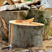 Atelier Valorisation Du Bois De Châtaignier