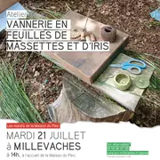 Atelier vannerie en feuilles de massettes et d'iris