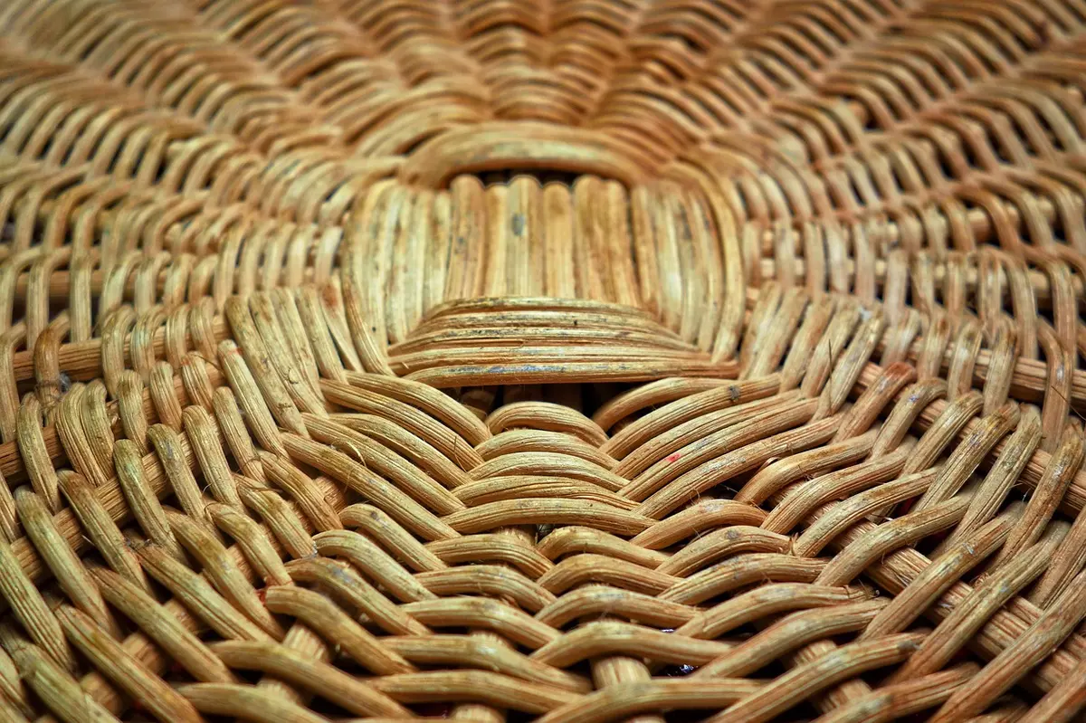 Atelier vannerie - répare ton panier