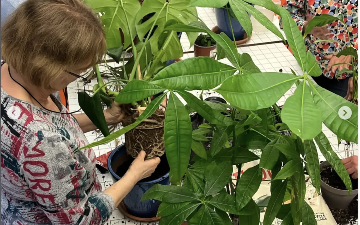 Atelier vannerie sauvage