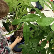 Atelier vannerie sauvage