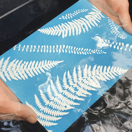 Atelier Végétal Créatif avec M.A Nature : Cyanotype