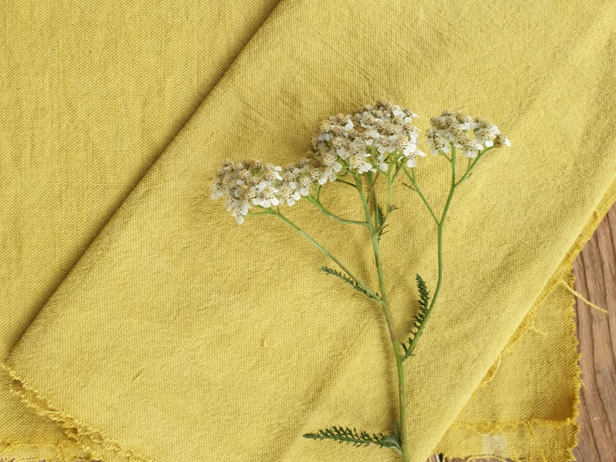 Atelier Végétal Créatif avec M.A Nature : Teinture Végétale
