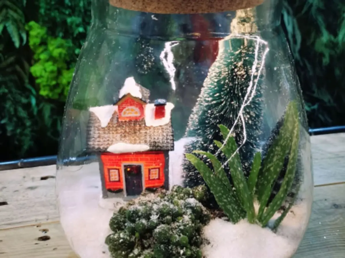 Atelier végétal, terrarium de Noël Truffaut Villeparisis