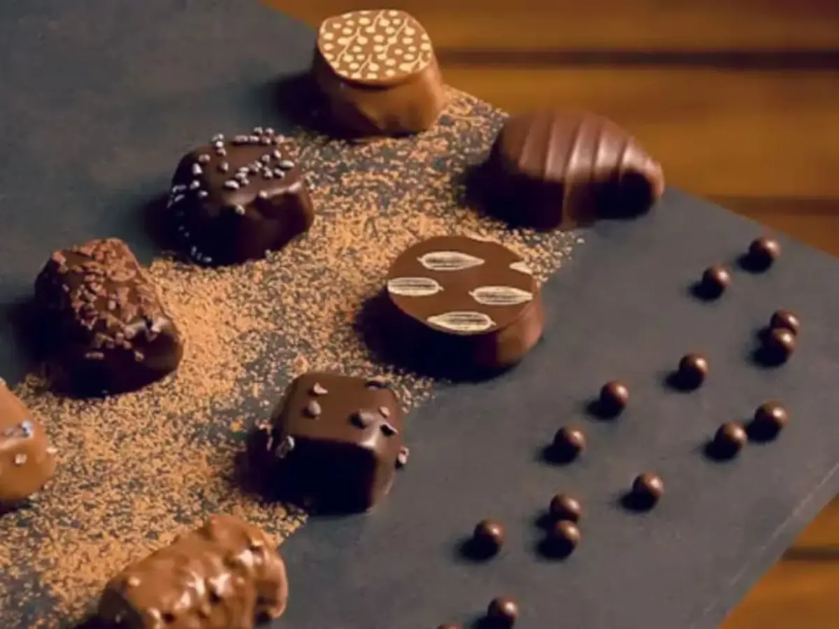 Atelier vins et chocolats au Musée du Vin et du Négoce (33)