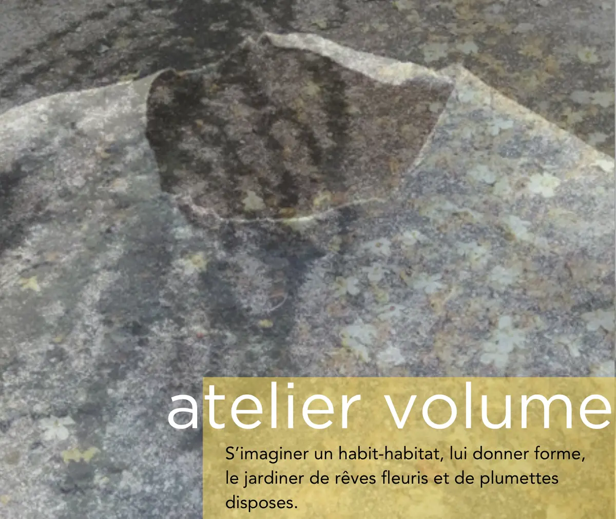 Atelier Volume Avec Claire Journer