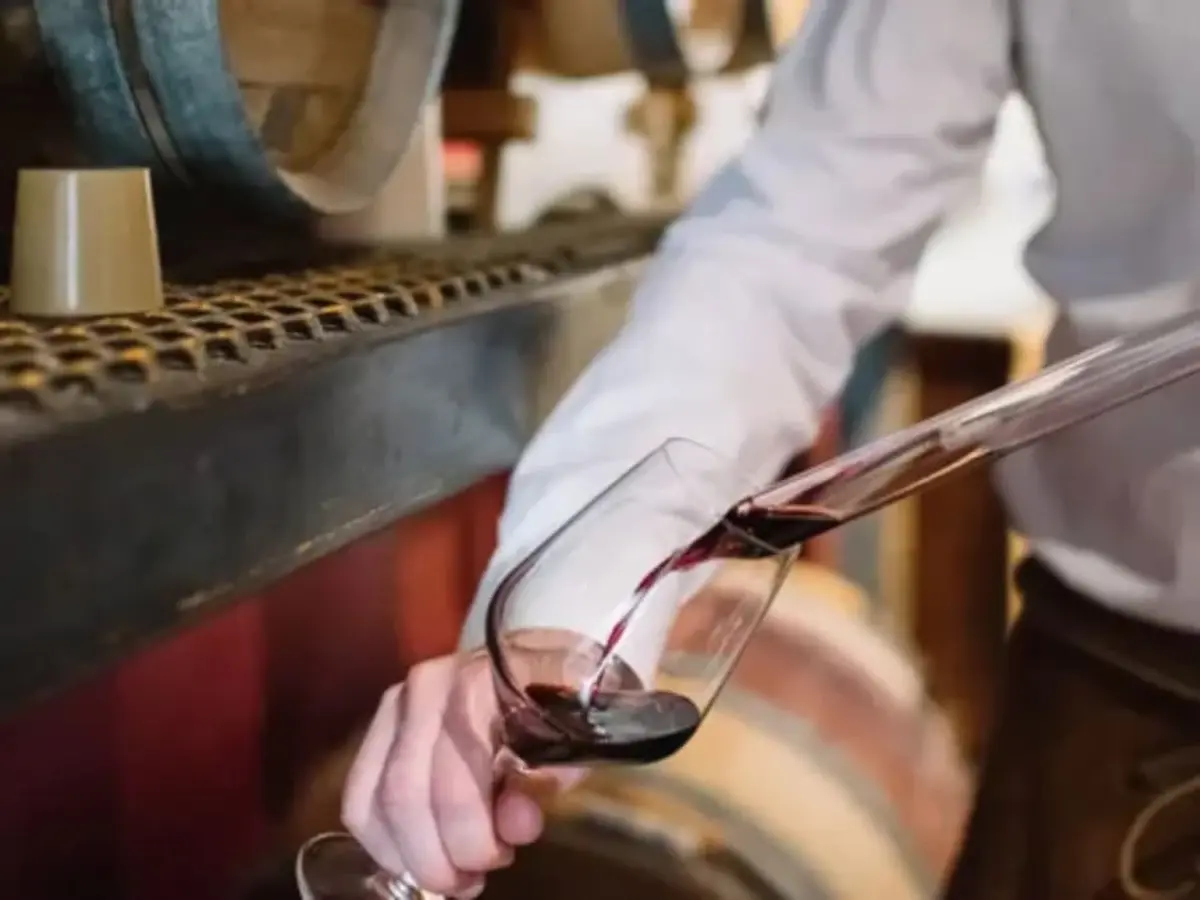 Atelier wine & fromages & charcutailles à Bordeaux (33)