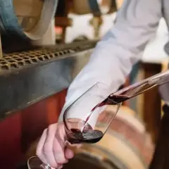Atelier wine & fromages & charcutailles à Bordeaux (33)