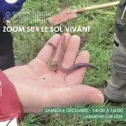 Atelier : Zoom Sur Le Sol Vivant