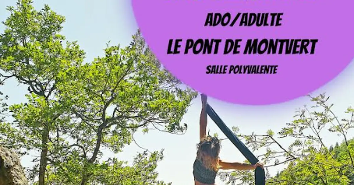 Ateliers Aériens Cirque Ado/adultes