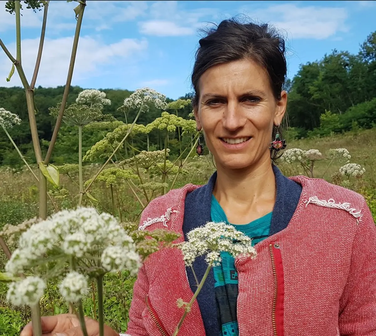 Ateliers avec les plantes