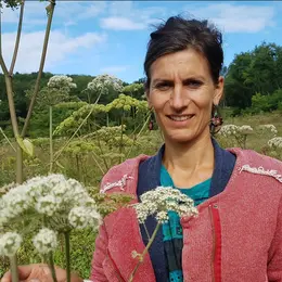 Ateliers avec les plantes