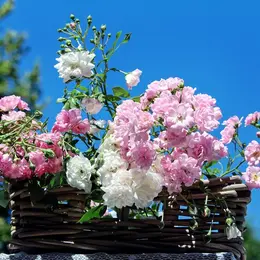 Ateliers créatifs fleurs séchées