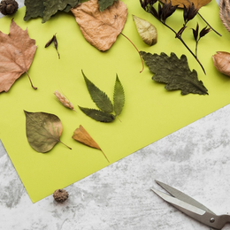 Ateliers créatifs nature