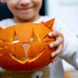 Ateliers creusage de citrouilles au Zoo du Reynou