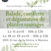 Ateliers cueillettes et dégustations de plantes