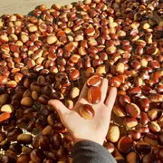 Ateliers cuisines à la Ferme de Louisotte