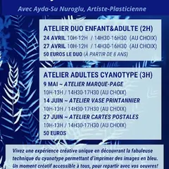 Ateliers Cyanotype Adultes
