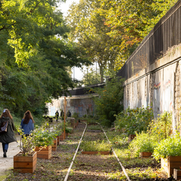 Ateliers de jardinage au Jardin des Traverses (18e)