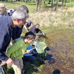 Ateliers-découverte : la petite faune des mares et zones humides