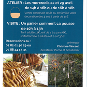 Ateliers découvertes de la Vannerie - Espace culturel osier vannerie