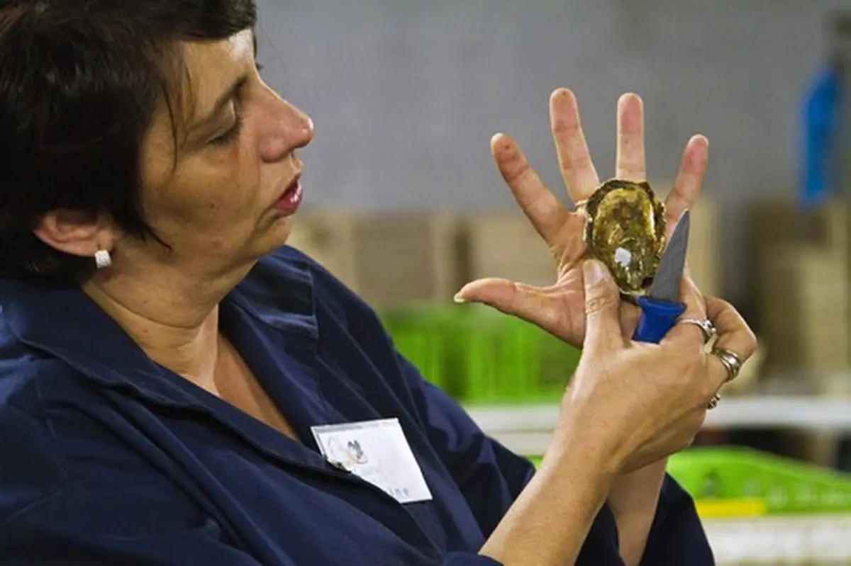 Ateliers - Découvertes - Dégustation
