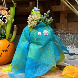 Ateliers enfants spécial Halloween chez Mendi - Kokedama