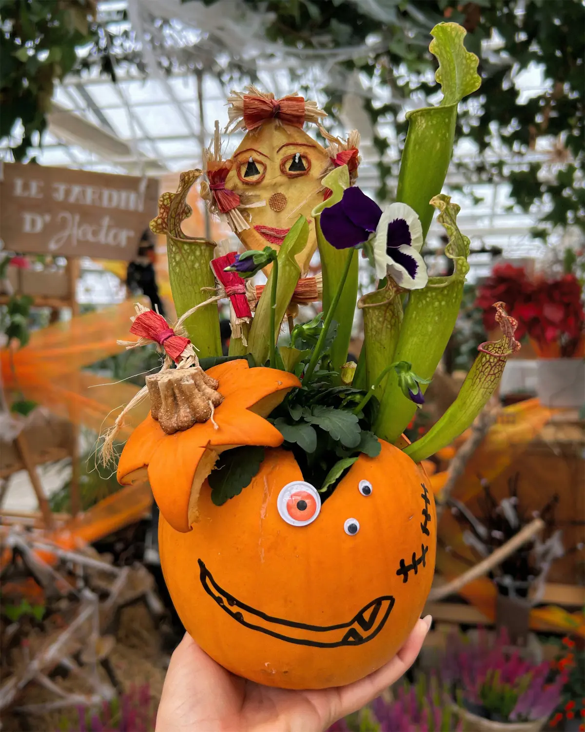 Ateliers enfants spécial Halloween chez Mendi - Rempotage dans une citrouille