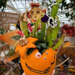 Ateliers enfants spécial Halloween chez Mendi - Rempotage dans une citrouille