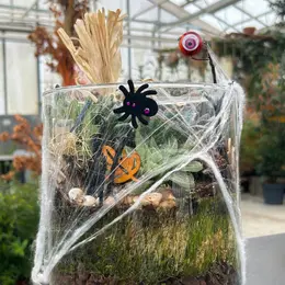 Ateliers enfants spécial Halloween chez Mendi - Terrarium