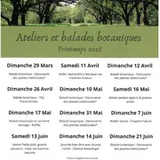 Ateliers et balades botaniques
