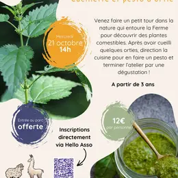 Ateliers Familles - Cueillette Et Pesto D'Orties