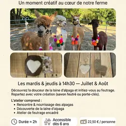 Ateliers feutrage à la ferme des Alpagas de Fons