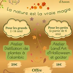Ateliers nature parents (distillation) - enfants (land'art Halloween)