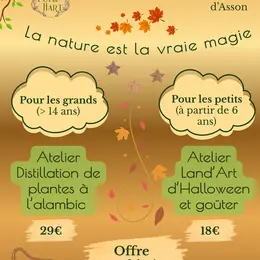 Ateliers nature parents (distillation) - enfants (land'art Halloween)