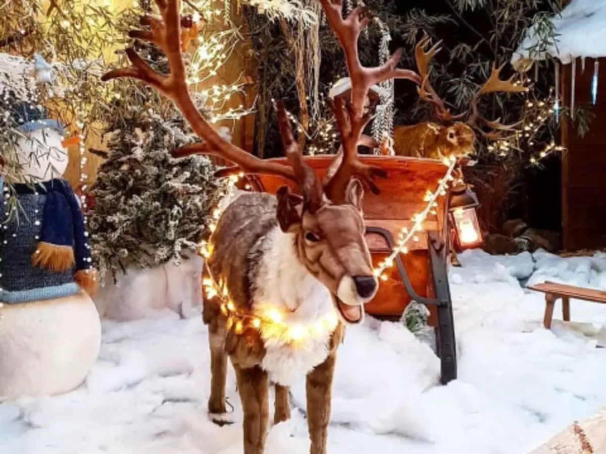 Ateliers Noël & Merveilles à la Ferme de Gally de Saint-Cyr 78