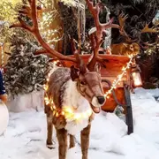 Ateliers Noël & Merveilles à la Ferme de Gally de Saint-Cyr 78