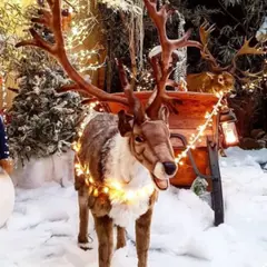 Ateliers Noël & Merveilles à la Ferme de Gally de Saint-Cyr 78