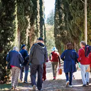 Ateliers Thématiques