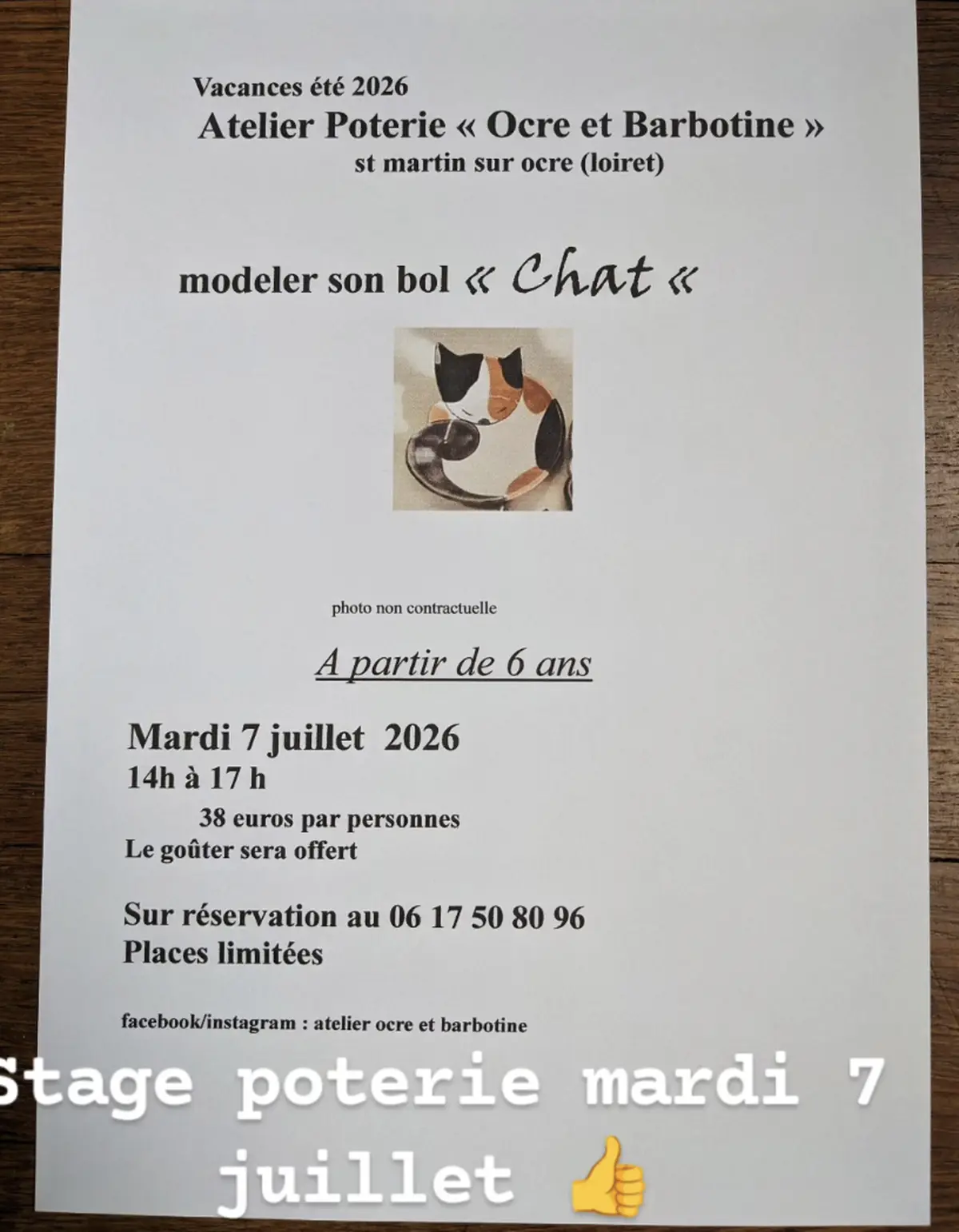 Atellier Poterie : Modeler son bol Chat