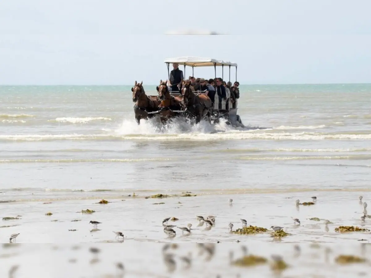 Attelages des Grandes Marées