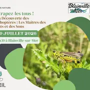 Attrapez-les tous ! À la Découverte des Orthoptères : les Maîtres des Sauts et des Sons”