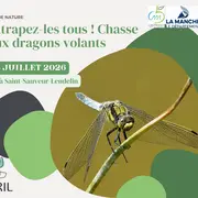 Attrapez les tous ! Chasse aux dragons volants