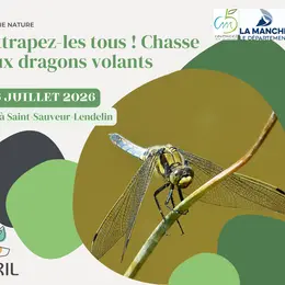Attrapez les tous ! Chasse aux dragons volants