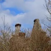 Au château des cigognes