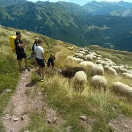 Au coeur de l'estive : randonnée et dégustation