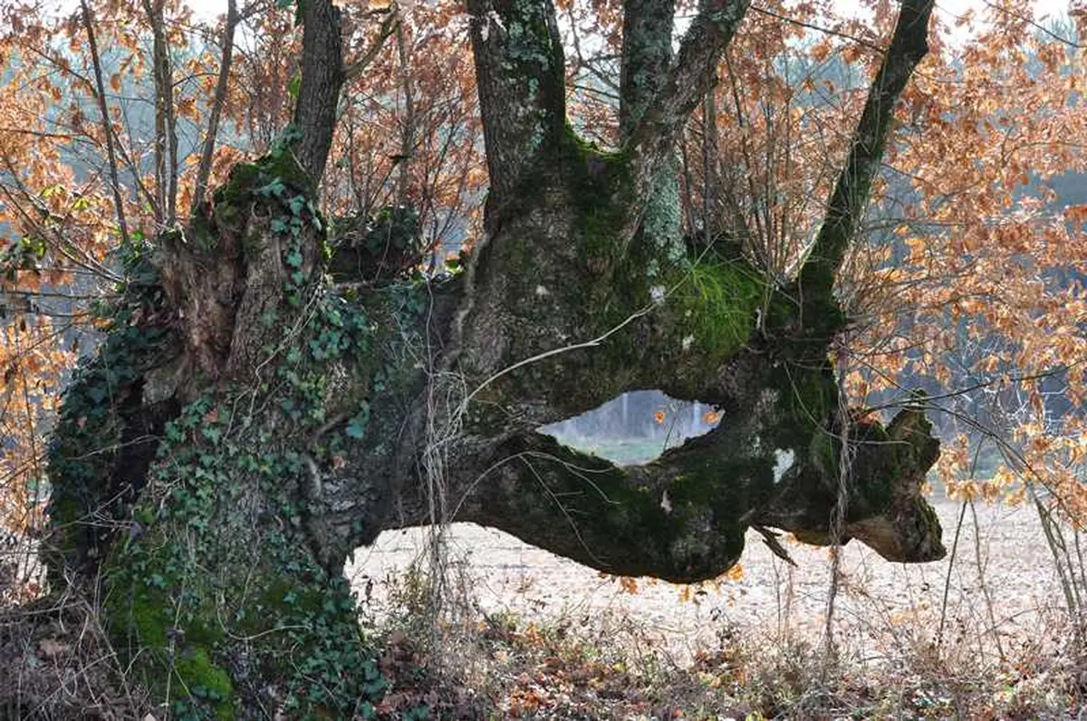 Au coeur de la vallée des Chézeaux