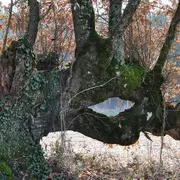 Au coeur de la vallée des Chézeaux