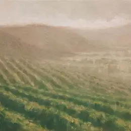 Au coeur de la vigne
